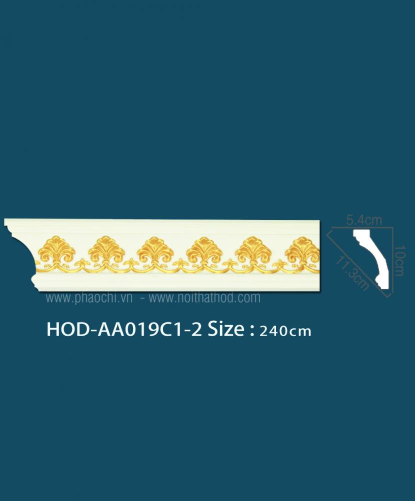 HOD-AA019C1-2